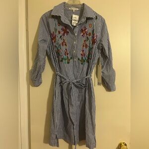 Blue stripe dress with embroidered flowers